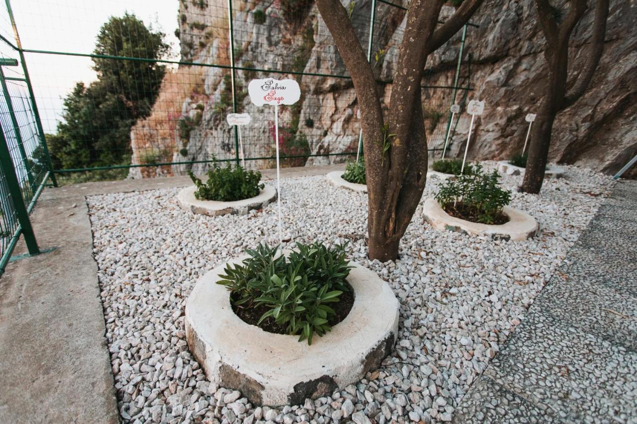 Apartments Paradise Garden Holiday House Agerola Extérieur photo